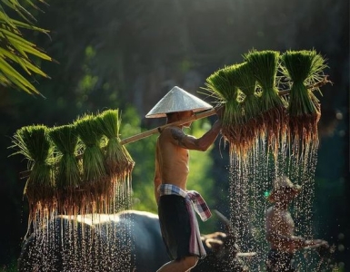 Bộ phận chăm sóc khách hàng